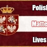 Poland-Lithuania (ETW faction) | Polish; Matter; Lives | image tagged in poland-lithuania etw faction,polish lives matter | made w/ Imgflip meme maker