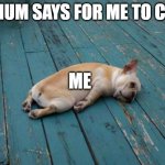 Tired dog | MY MUM SAYS FOR ME TO CLEAN ME | image tagged in tired dog | made w/ Imgflip meme maker