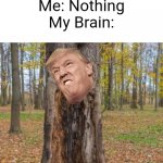 He's A Tree Now. | Teacher: Why Are You Laughing
Me: Nothing
My Brain:; DONALD TRUNK | image tagged in rotten tree | made w/ Imgflip meme maker