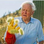 David Attenborough in Pain