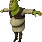 the t pose shrek