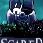 Hollow knight scared meme