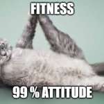 Exercising Cat | FITNESS; 99 % ATTITUDE | image tagged in exercising cat | made w/ Imgflip meme maker