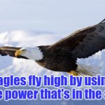 eagle | Eagles fly high by using the power that's in the air. | image tagged in eagle | made w/ Imgflip meme maker