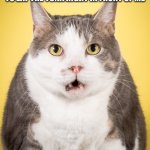 Cats be like | WHEN MY OWNER TELLS ME NOT TO EAT THE TUNA RIGHT IN FRONT OF ME; ME | image tagged in dumb cat,stupid,yummy,cute,wierd | made w/ Imgflip meme maker