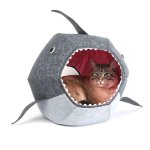 cat in shark template