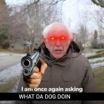 Plz I want to know | WHAT DA DOG DOIN | image tagged in bernie,what the dog doin | made w/ Imgflip meme maker