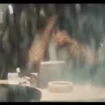 floor 2 GIF Template