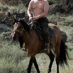 Horse Putin