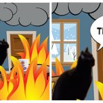 This is Fine With A Cat Instead meme