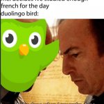 duolingo | image tagged in duolingo | made w/ Imgflip meme maker