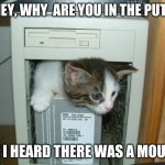 lolcat in ur puter | HONEY, WHY  ARE YOU IN THE PUTER? CUZ I HEARD THERE WAS A MOUSE... | image tagged in lolcat in ur puter | made w/ Imgflip meme maker