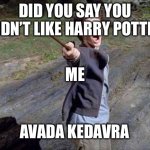Harry Potter Yelling | DID YOU SAY YOU DIDN’T LIKE HARRY POTTER; ME; AVADA KEDAVRA | image tagged in harry potter yelling | made w/ Imgflip meme maker