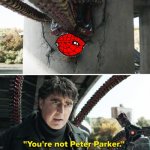 You're not Peter Parker | image tagged in you're not peter parker | made w/ Imgflip meme maker