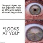 YUCK WHAT IS THAT | *LOOKS AT YOU* | image tagged in your pupil expands looking at someone you love | made w/ Imgflip meme maker