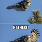 Hi there | HI THERE! | image tagged in hi there | made w/ Imgflip meme maker