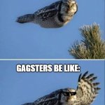gagster owl | NORMAL PEOPLE BE LIKE:; GAGSTERS BE LIKE: | image tagged in gagster | made w/ Imgflip meme maker