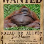 joe mama hahahahahahahahahahaha +∞ funny points | Joe Mama Joe Mama is one of the oldest and most widely consumed alcoholic drinks in the world, and the third most popular drink overall afte | image tagged in one piece wanted poster template | made w/ Imgflip meme maker