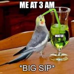 Water tastes the best at 3 am. | ME AT 3 AM; WATER; *BIG SIP* | image tagged in big sip bird | made w/ Imgflip meme maker