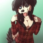 Furry Art