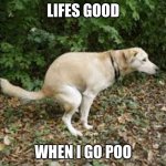 Dog pooping  | LIFES GOOD; WHEN I GO POO | image tagged in dog pooping | made w/ Imgflip meme maker