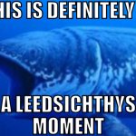This is definitely a Leedsichthys moment