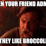 when your friend admits... | WHEN YOUR FRIEND ADMITS THEY LIKE BROCCOLI | image tagged in memes,you were the chosen one star wars,funny | made w/ Imgflip meme maker