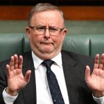 Anthony Albanese meme