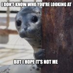 I Don't Know Who You're Looking At | I DON'T KNOW WHO YOU'RE LOOKING AT; BUT I HOPE IT'S NOT ME | image tagged in seal bonjour shy look,seal,shy,introvert | made w/ Imgflip meme maker