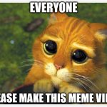 I have a viral meme and i want to make another viral meme | EVERYONE PLEASE MAKE THIS MEME VIRAL | image tagged in memes,shrek cat,viral,please | made w/ Imgflip meme maker
