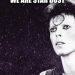 life goes on | WE ARE STAR DUST | image tagged in david bowie,universe | made w/ Imgflip meme maker