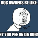 dog owners be like | DOG OWNERS BE LIKE:; WHY YOU PEE ON DA RUG?!? | image tagged in why you no,funny,dogs,memes | made w/ Imgflip meme maker