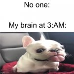 DOGGO | No one:; My brain at 3:AM: | image tagged in doggo | made w/ Imgflip meme maker