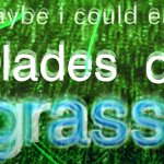 maybe i could eat blades of grass