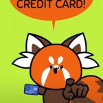 got your credit card