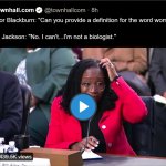 Ketanji Jackson dumb judge