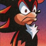 SONIC FANBASE REACTION | WHEN SOME ONE SAYS SONADOW | image tagged in sonic fanbase reaction | made w/ Imgflip meme maker