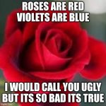 why did i come up with this | ROSES ARE RED VIOLETS ARE BLUE; I WOULD CALL YOU UGLY BUT ITS SO BAD ITS TRUE | image tagged in roses are red | made w/ Imgflip meme maker