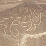 Nazca Cat