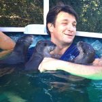 Nathan Fillion & otter friends