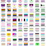 so many pride flags