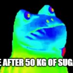 crazy | ME AFTER 50 KG OF SUGAR | image tagged in gifs,50kg | made w/ Imgflip video-to-gif maker