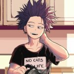 Shinsou meme