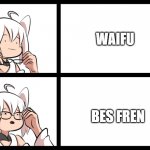 Waifu? No no no you are my bes fren | WAIFU; BES FREN | image tagged in shirakami fubuki glasses | made w/ Imgflip meme maker