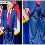 Trump Diaper template