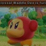 colossal waddle dee is furious