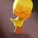 crying chicken GIF Template