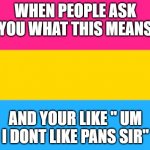 Pansexual | WHEN PEOPLE ASK YOU WHAT THIS MEANS; AND YOUR LIKE " UM I DONT LIKE PANS SIR" | image tagged in pansexual flag | made w/ Imgflip meme maker