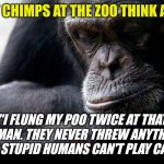 Chimps, they are simplier than you think. | WHAT CHIMPS AT THE ZOO THINK ABOUT; "I FLUNG MY POO TWICE AT THAT HUMAN. THEY NEVER THREW ANYTHING BACK! STUPID HUMANS CAN'T PLAY CATCH?" | image tagged in koko,apes,ideas,games | made w/ Imgflip meme maker