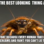 Cockroach | I AM THE BEST LOOKING  THING ALIVE. I SAY THAT BECAUSE EVERY HUMAN THAT LOOKS AT ME SCREAMS AND FAINT. YOU CAN'T LIE TO ME..... | image tagged in cockroach | made w/ Imgflip meme maker